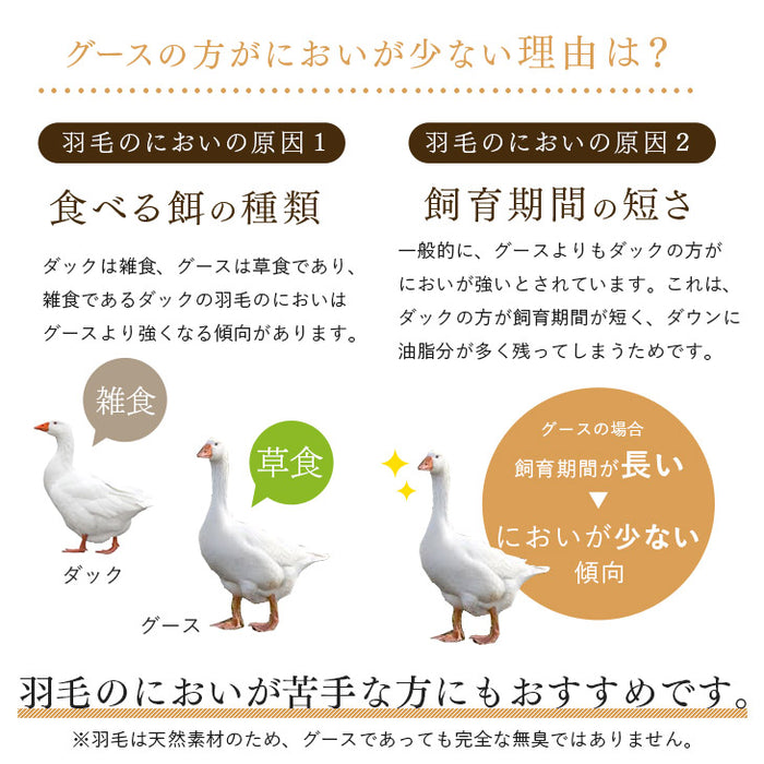 ［シングルロング・2枚組］においの少ないグースダウン 洗える ダウンケット 日本製 ホワイトグースダウン 93％ 0.3kg 肌掛け布団 夏 夏用 布団〔10106464〕