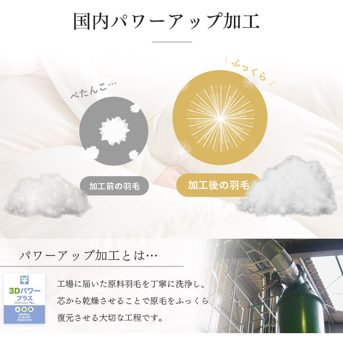 ［シングルロング・2枚組］においの少ないグースダウン 洗える ダウンケット 日本製 ホワイトグースダウン 93％ 0.3kg 肌掛け布団 夏 夏用 布団〔10106464〕