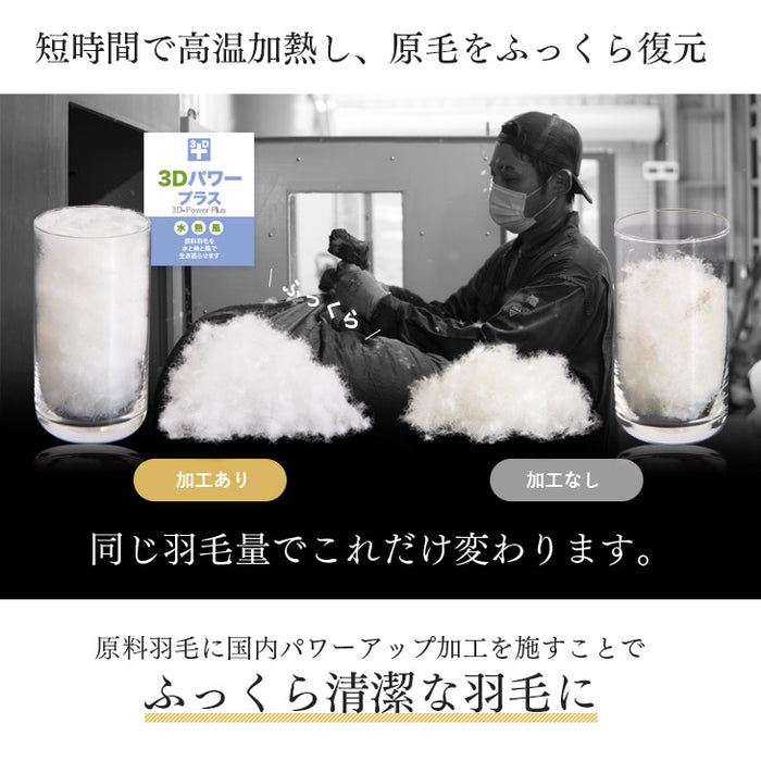 ［シングルロング・2枚組］においの少ないグースダウン 洗える ダウンケット 日本製 ホワイトグースダウン 93％ 0.3kg 肌掛け布団 夏 夏用 布団〔10106464〕