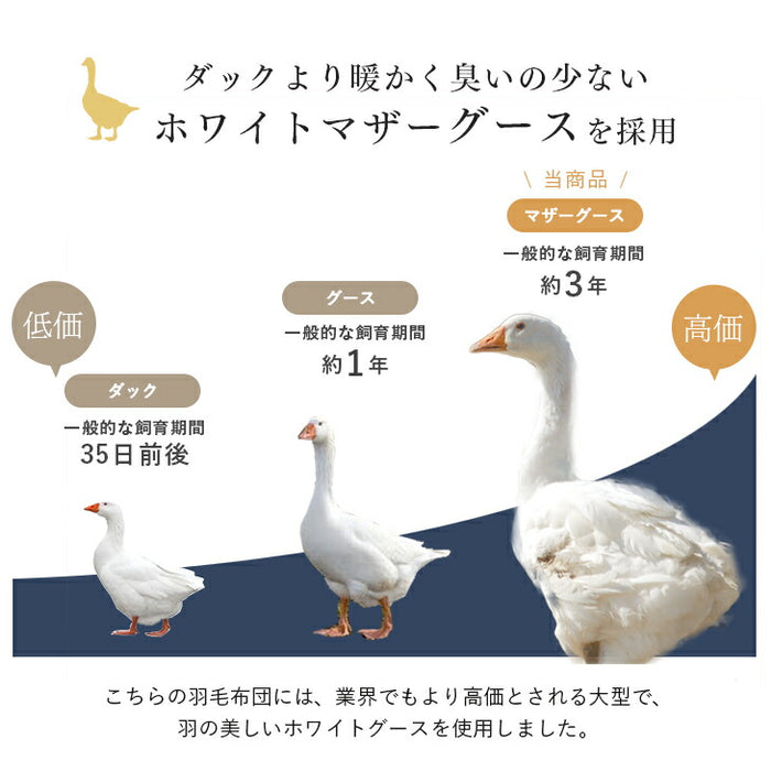 [シングル] 羽毛布団 純ポーランド産グースダウン95％ CILブラックラベル 二層キルト 440dp以上 7年保証 日本製 〔10119332〕