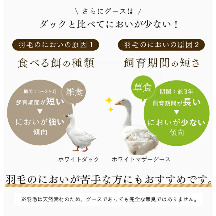 [シングル] 羽毛布団 純ポーランド産グースダウン95％ CILブラックラベル 二層キルト 440dp以上 7年保証 日本製 〔10119332〕