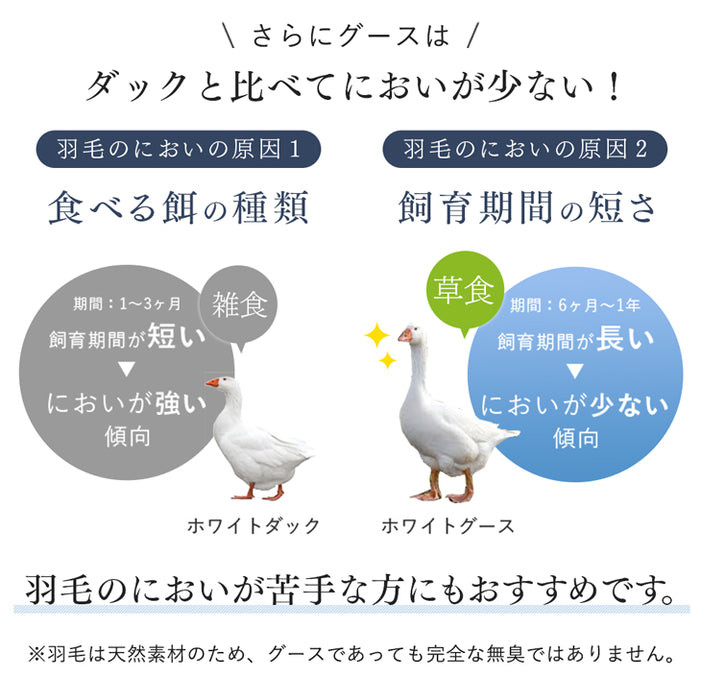 [シングルロング] においの少ないグースダウン 洗える ダウンケット 日本製 ホワイトグースダウン 93％ 0.3kg 肌掛け布団〔10119344〕