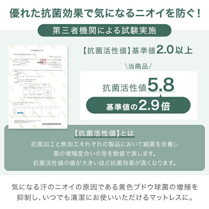 [シングル] 極厚22cm 高反発ピロートップ ボンネルコイル マットレス 抗菌 防臭 防ダニ〔17810149〕