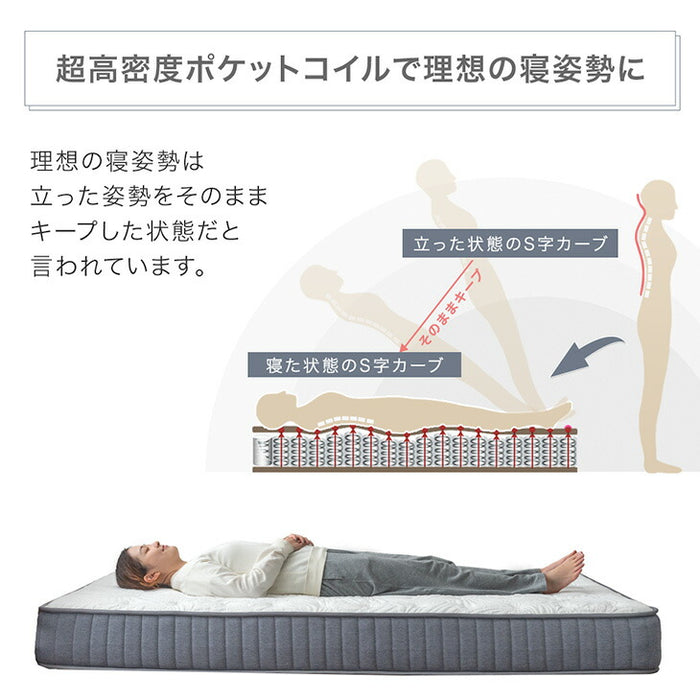 [シングル] 新提案！オールシーズン快適 リバーシブルマットレス 極厚23cm ポケットコイルマットレス 両面 高密度〔17810152〕