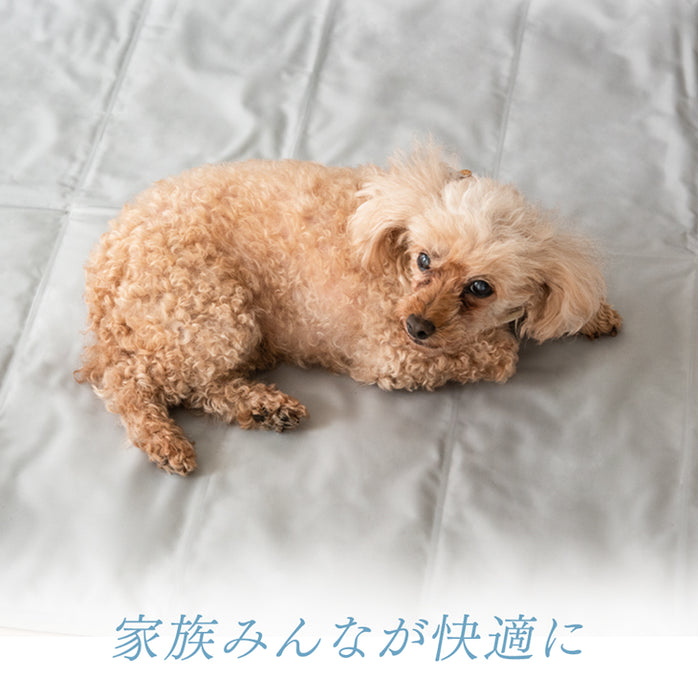 たった1分で-8.2℃ 瞬間冷却 超 冷却マット 90×140 接触冷感 敷きパッド シングル 塩ジェルマット 抗菌 防カビ〔19000003〕