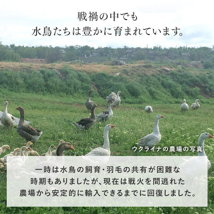 【ウクライナ支援】[セミダブルロング] 羽毛布団 マザーグース 95% 増量 日本製 立体キルト 440 dp以上 洗浄度1500mm 抗菌 防臭 防ダニ かさ高180mm以上 ブラックラベル〔39100351〕