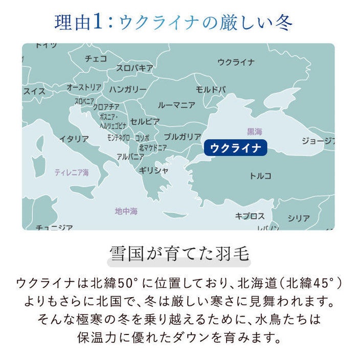 [ダブル] 平和の羽毛 マザーグース 超増量 ウクライナ産 グース 95% 日本製 羽毛布団 二層キルト 60サテン 綿100％ 440 dp以上  洗浄度1500mm 抗菌 防臭 防ダニ ブラックラベル 〔39100358〕