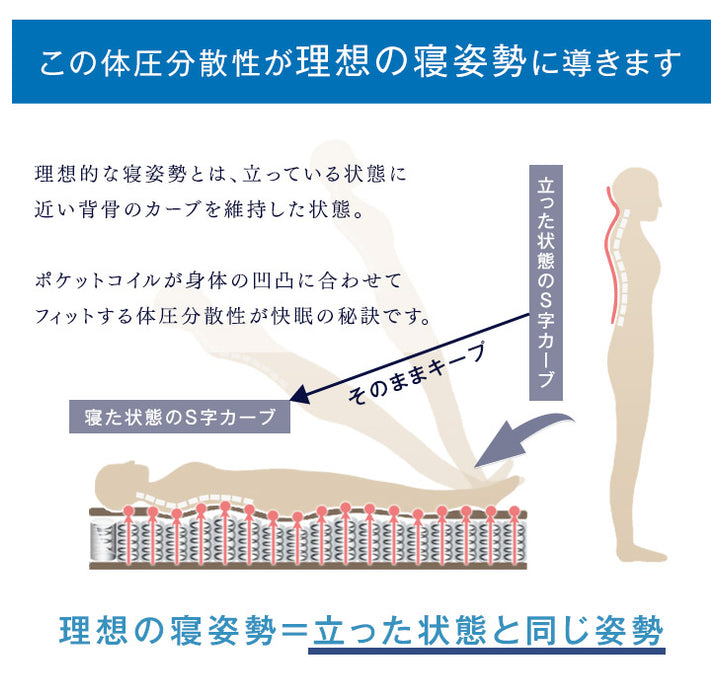 [セミダブル] すのこベッド 3ゾーン構造 ポケットコイルマットレス付 宮棚＆2口コンセント 宮棚付き マットレスセット 〔49600820〕