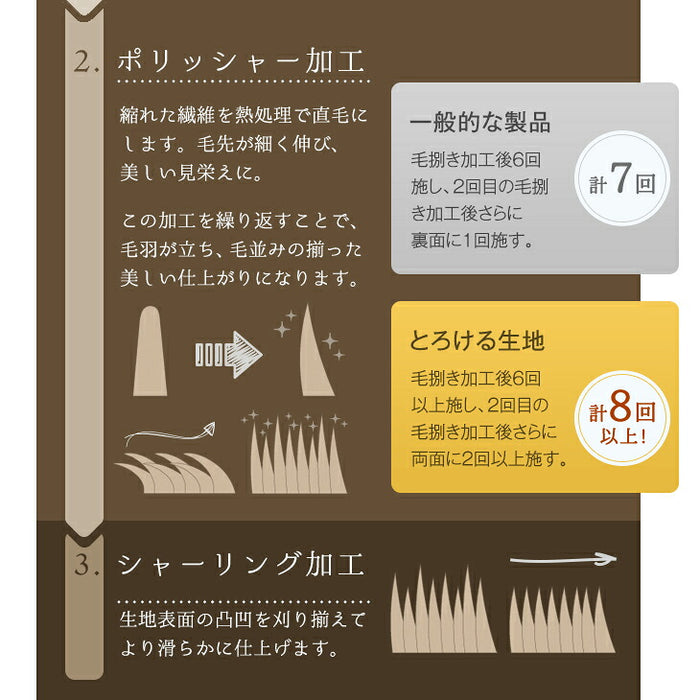 【在庫限り】［ダブル］とろりん ブランケット 洗える 吸湿発熱 高保湿 掛布団〔58700136a〕