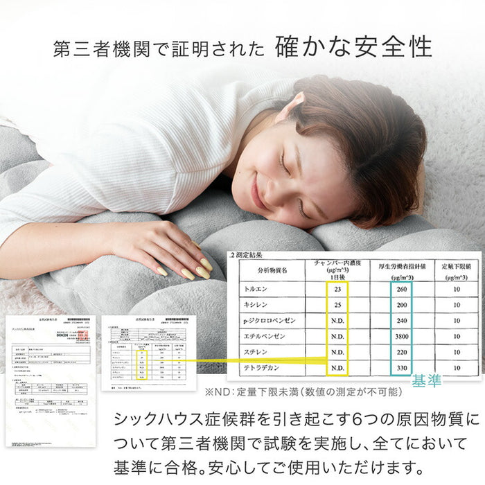 ふわもこ 座椅子 14段階ギア リクライニング 軽量 折りたたみ 持ち運び簡単 1人掛け チェア〔65170003〕