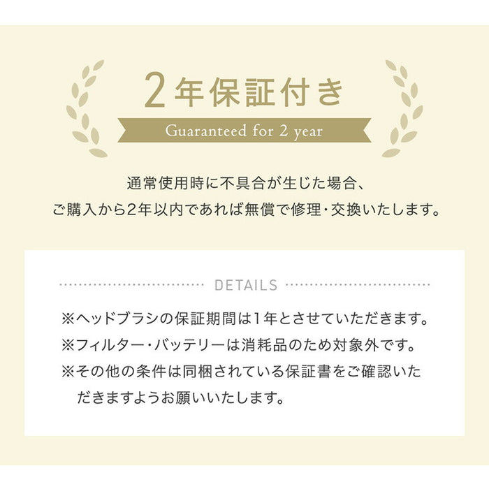 【新発売記念プライス】スタンド付き サイクロン掃除機 コードレス 2way ハンディ スティック 掃除機 コードレス掃除機 スティック掃除機 〔80700008〕