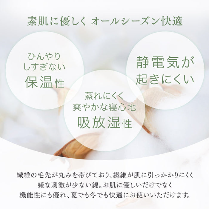 ［クイーン］ボックスシーツ 80サテン 綿100％ Q 洗える ベッドカバー〔81900114〕