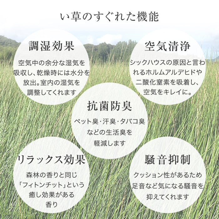 【16枚 厚み1.5cm 3畳用】敷くだけカンタン 置き畳 い草 抗菌 防臭 防音 滑り止め 床暖房対応 琉球畳 和室 賃貸〔86211300〕
