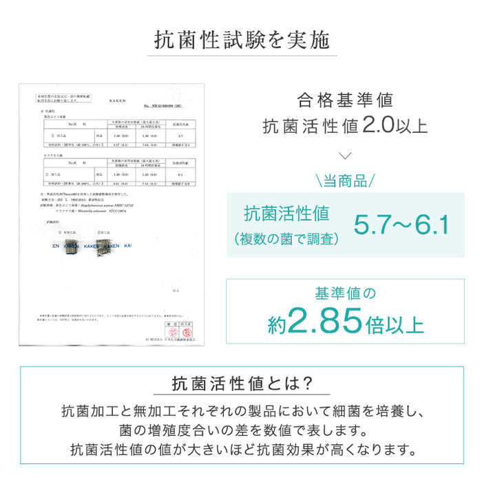【16枚 厚み1.5cm 3畳用】敷くだけカンタン 置き畳 い草 抗菌 防臭 防音 滑り止め 床暖房対応 琉球畳 和室 賃貸〔86211300〕