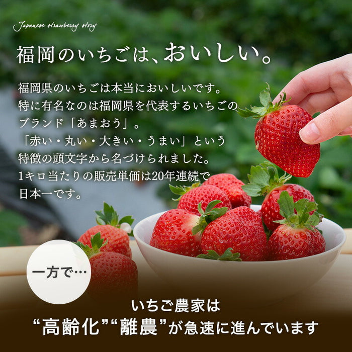 武下さんちの“完熟” あまおうそのまま85%ジャム 2瓶 4瓶 8瓶 セット 手作り 無添加 完熟 高級 いちご いちごジャム あまおう 苺 イチゴ ストロベリー ジャム 日本製 国産 ギフト 贈答用 暑中見舞い お中元〔89600021〕