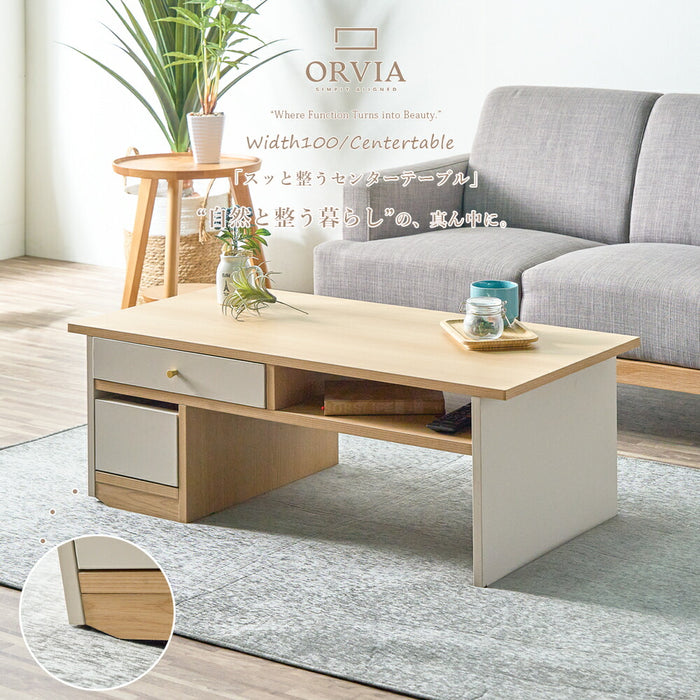 幅100］ローテーブル 完成品 収納付き キャスター付 センターテーブル