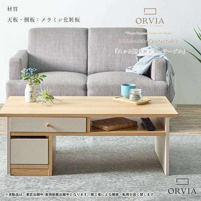 幅100］ローテーブル 完成品 収納付き キャスター付 センターテーブル