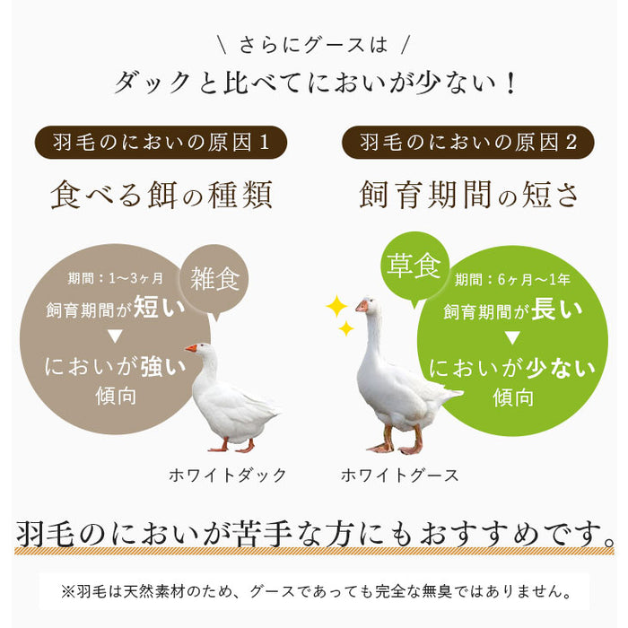 [クイーン] 大増量2.1kg 羽毛布団 ホワイトグースダウン93％ CILゴールドラベル 二層キルト 400dp以上 かさ高165mm以上 7年保証 日本製 〔10119081〕