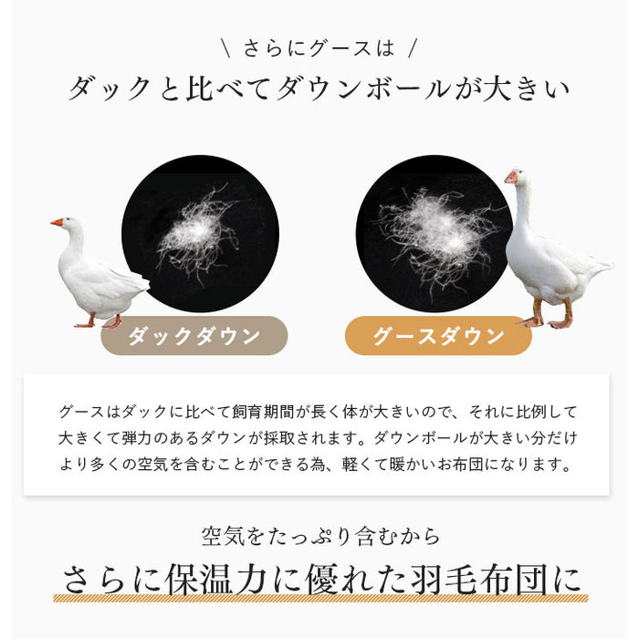 [クイーン] 大増量2.1kg 羽毛布団 ホワイトグースダウン93％ CILゴールドラベル 二層キルト 400dp以上 かさ高165mm以上 7年保証 日本製 〔10119081〕