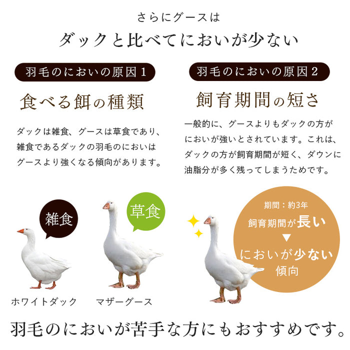 [ダブル] 女神の羽毛布団 増量1.8kg ポーランド産マザーグースダウン95％ CILブラックラベル 440dp以上 かさ高180mm以上 二層キルト 日本製 〔10119085〕