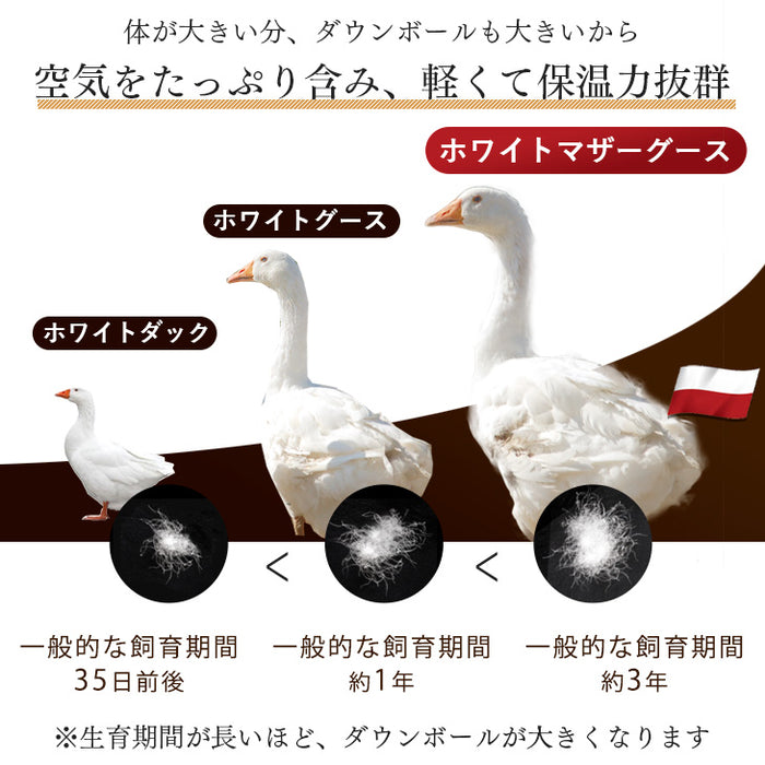 [キング] 女神の羽毛布団 増量2.1kg 純ポーランド産マザーグースダウン95％ CILブラックラベル 二層キルト 440dp以上 かさ高180mm以上 7年保証 日本製 〔10119219〕