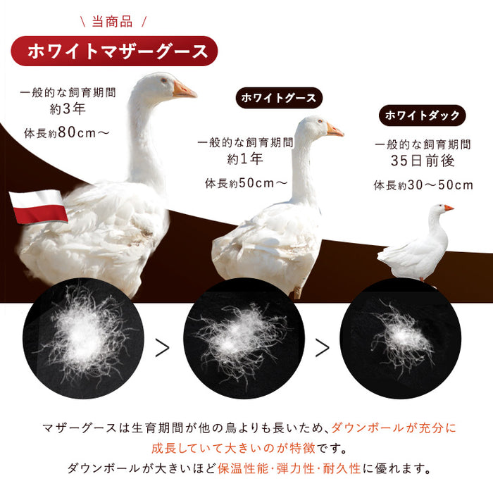 [セミダブル] 超増量1.8kg 純ポーランド産 マザーグース ダウン95％ 羽毛布団 440dp かさ高180mm以上 二層キルト CILブラックラベル 日本製〔10106510〕