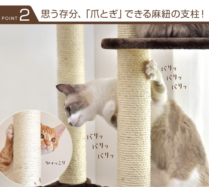 猫ちゃんが喜ぶ全面麻ひも！ ワイドサイズ キャットタワー 210cm 据え置き 爪研ぎ ハンモック キャットハウス 〔32000007〕