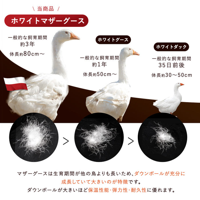 [シングル] 超増量1.5kg うるおい ファインテイスト生地 羽毛布団 ポーランド産 ホワイトマザーグース95％ CILブラックラベル 二層キルト 440dp以上  かさ高180mm以上 日本製〔10106512〕