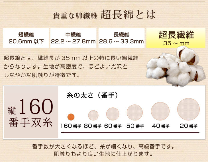 [セミダブル] 羽毛布団 増量1.5kg ポーランド産マザーグースダウン95% CILプラチナラベル 二層キルト 超長綿160番手 480dp かさ高200mm以上 10年保証 日本製 〔10119053〕