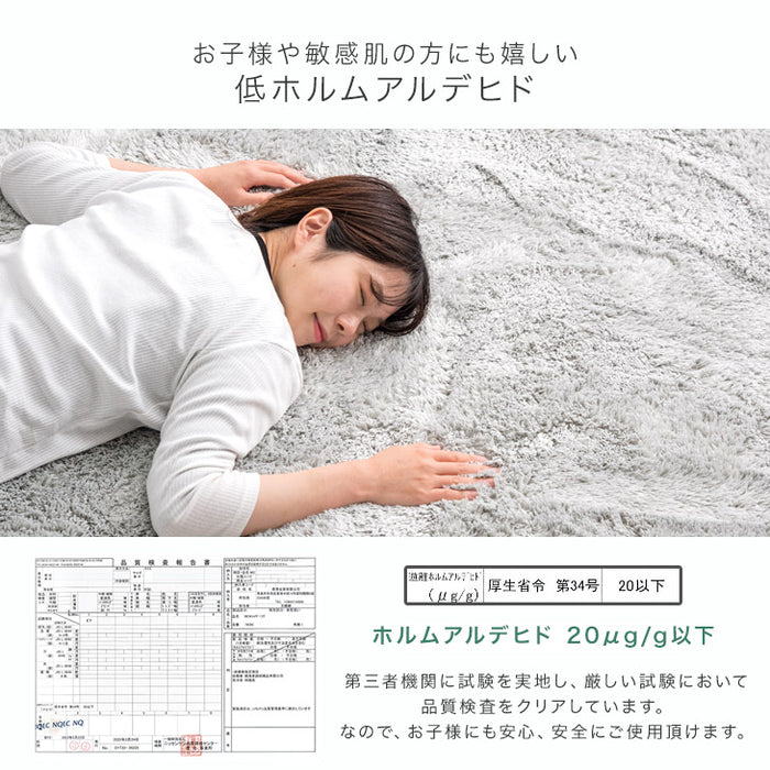 [200×250] 丸洗いできる シャギーラグ 抗菌 防臭 滑り止め付 ホットカーペット対応 ウレタンクッション〔19510004〕