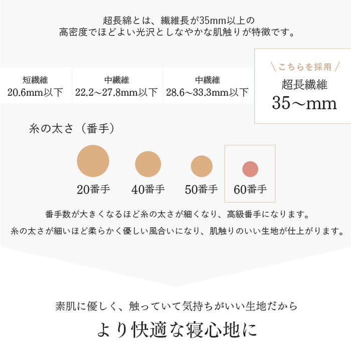 [セミダブル] 女神の羽毛布団 増量 1.6kg ポーランド産マザーグースダウン95％ CILブラックラベル 440dp 二層キルト かさ高180mm以上 日本製 〔10119084〕