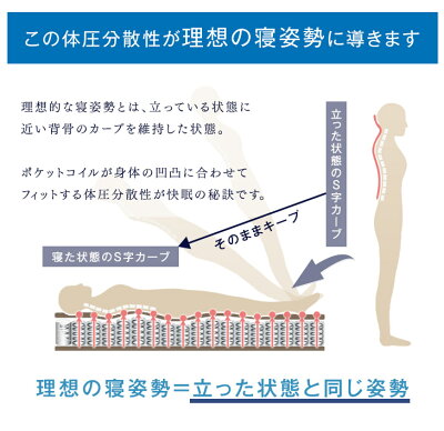 セミダブル］ポケットコイルマットレス 3ゾーン構造 3Dメッシュ 厚み