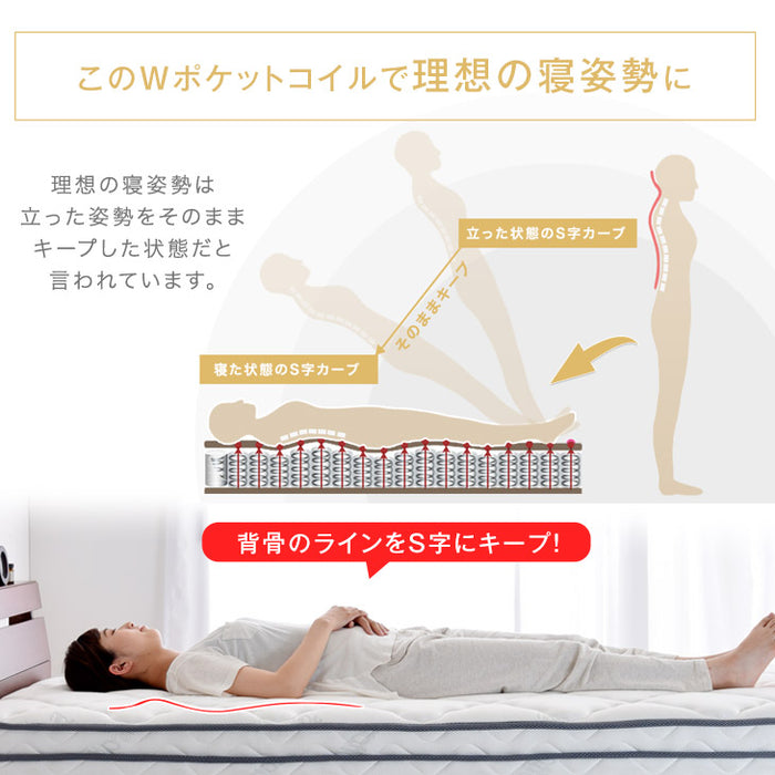 [ダブル］Wポケットコイルマットレス ピロートップ 極厚26cm 〔17800150〕