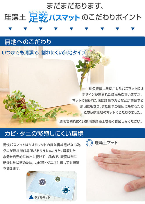 珪藻土 バスマット 天日干し出来る  シャワーで洗える 速乾 日本製  〔21100001〕