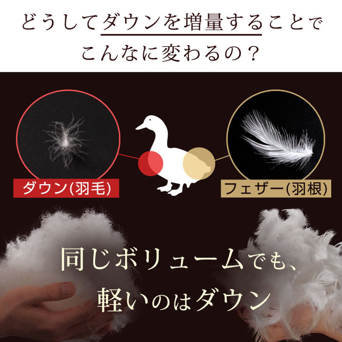 ［シングル］ もっとかるく、あたたかく 羽根 & 羽毛 布団 7点 セット 〔21800023〕