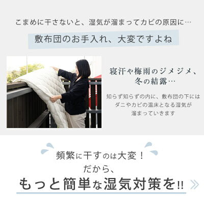 〔シングル・2枚組〕除湿シート 日本製 ベルオアシス 〔22700004〕