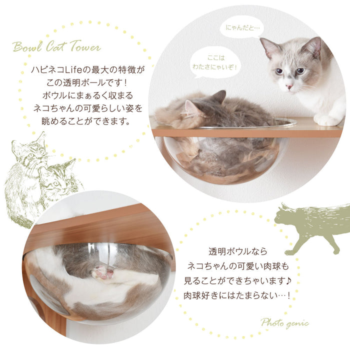 当店オリジナル 木製キャットタワー 高さ120cm 幅145cm 据え置き 麻紐 爪とぎ キャットウォーク多頭飼い  〔32000030〕