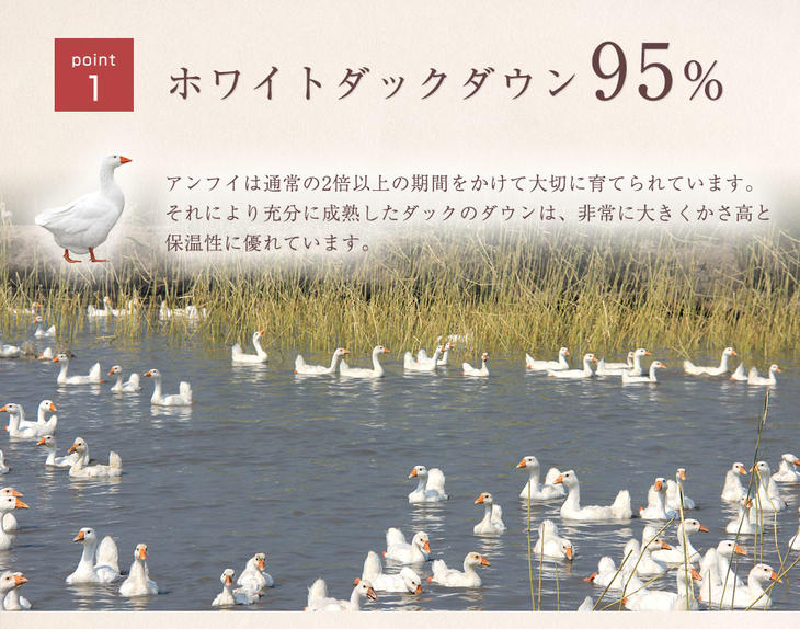 [シングル] 羽毛布団 ホワイトダックダウン95％ プラチナビッグクラスター CILブラックラベル 立体キルト 440dp以上 7年保証 日本製 〔39100057〕