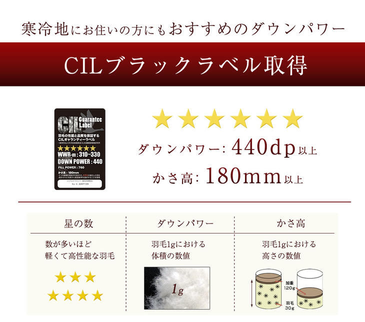 [シングル] 羽毛布団 ホワイトダックダウン95％ プラチナビッグクラスター CILブラックラベル 立体キルト 440dp以上 7年保証 日本製 〔39100057〕