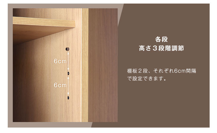 国産 完成品 ハンガーラック 引き出し クローゼット【超大型商品】〔39600015〕