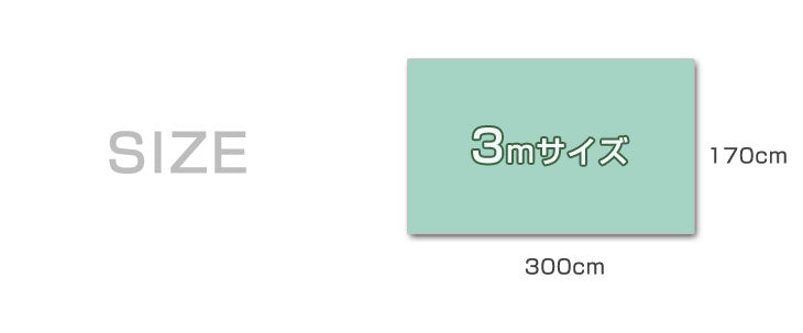 [3m用] 当店タープテント専用 サイドシート2枚セット 商品番号：19000010/19000014/19000052 専用 サイドシート 単品〔44400018〕