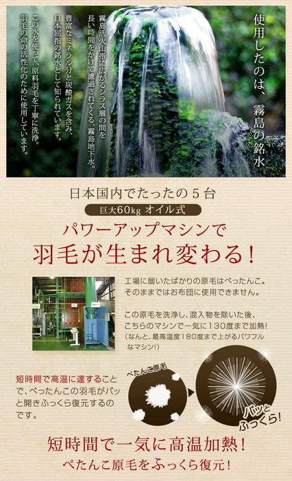 [ダブル] 2枚合わせ 羽毛布団 ホワイトダックダウン85％ CILレッドラベル 立体キルト 300dp以上 抗菌・防臭 日本製 〔10119066〕