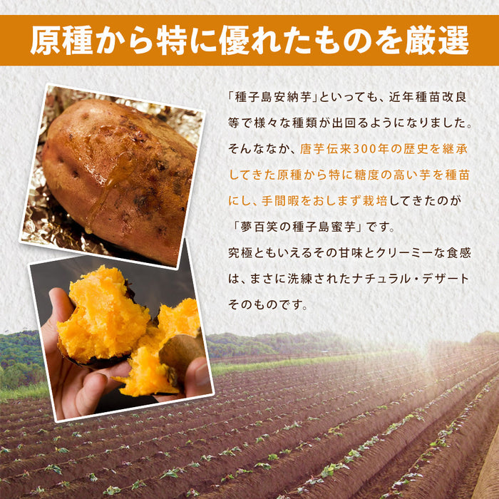 干し蜜芋 150g × 10袋 角ぎりタイプ 安納芋 鹿児島 産  無添加 お菓子 〔41900110〕