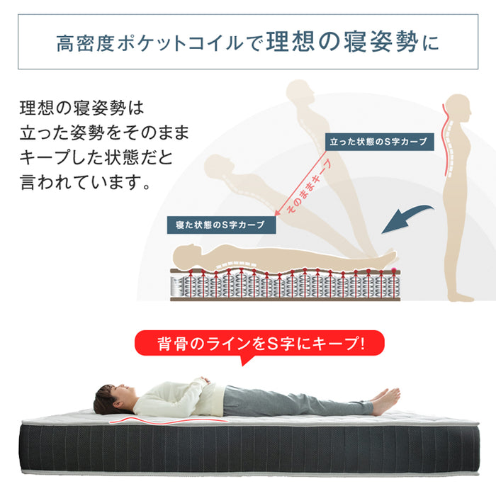 セミダブル] マットレス 3ゾーン構造 超高密度 ポケットコイル 厚み