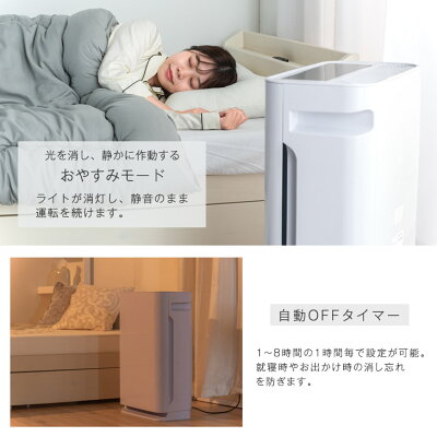空気洗浄機 交換用フィルター付 マイナスイオン 加湿 30畳〔77800002〕