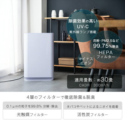 空気洗浄機 交換用フィルター付 マイナスイオン 加湿 30畳〔77800002〕