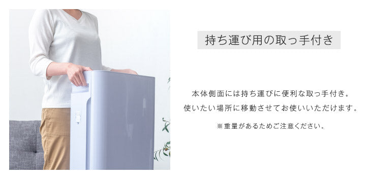 空気洗浄機 交換用フィルター付 マイナスイオン 加湿 30畳〔77800002〕
