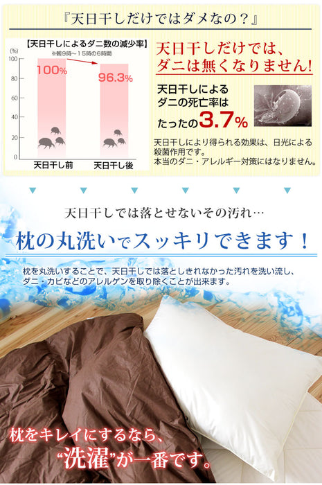 日本製 洗える枕 水切りメッシュ付 35×50 インビスタ ダクロン〔87190113〕