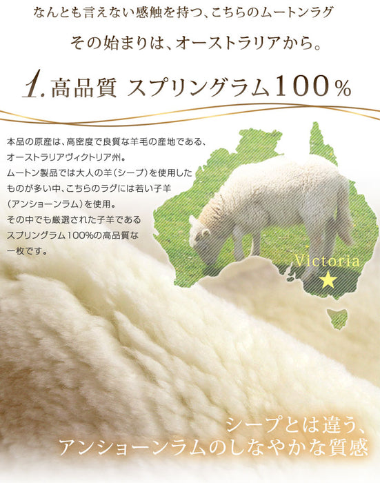 ムートンラグ 約180×150 日本製 厚手 抗菌 防ダニ 6匹物 洗濯できる〔87250038〕