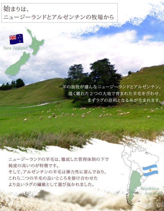 60×90cm 玄関マット 手織り ウールラグ  長方形 厚手 ウール100％ 〔87250024〕